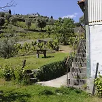 Quinta Vintage - Biologica Vila Marim