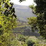 Quinta Vintage - Biologica Lantställe Vila Marim