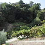 Quinta Vintage - Biologica Lantställe