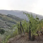 Quinta Vintage - Biologica Lantställe