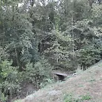 Lantställe Quinta Vintage - Biologica