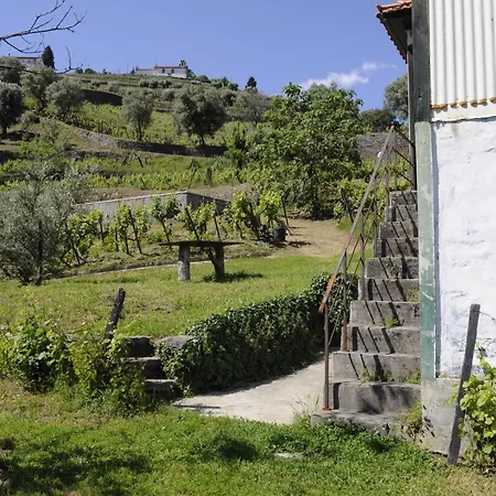 Quinta Vintage - Biologica Vila Marim