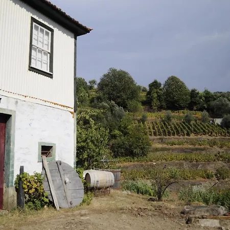 Quinta Vintage - Biologica Lantställe Vila Marim