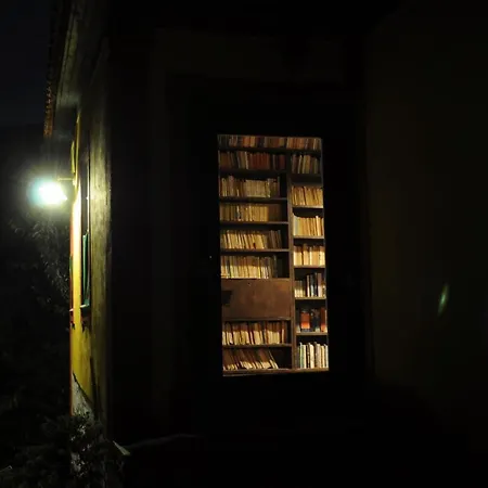 Quinta Vintage - Biologica